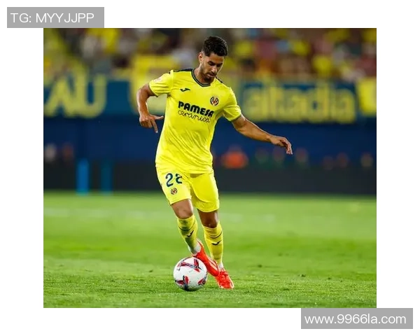 足球巨星的儿子与普通女孩的青涩爱情故事在绿茵场上绽放光彩